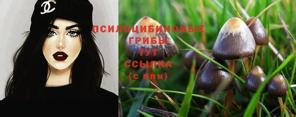 Альфа ПВП Верхний Тагил