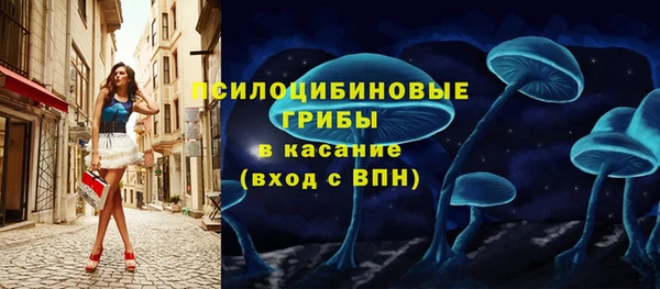 крисы Верея