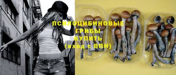 сатива Верхнеуральск