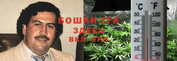 крисы Верея