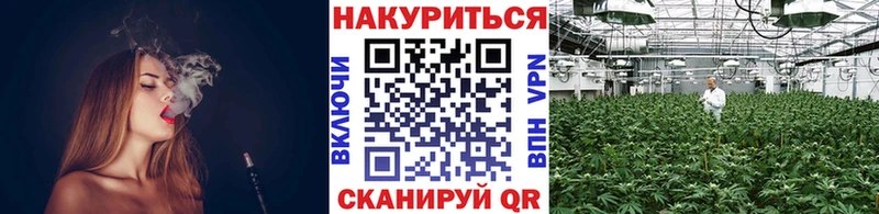 Бошки марихуана OG Kush Жердевка